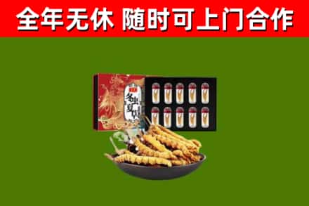 岳西县回收冬虫夏草价格